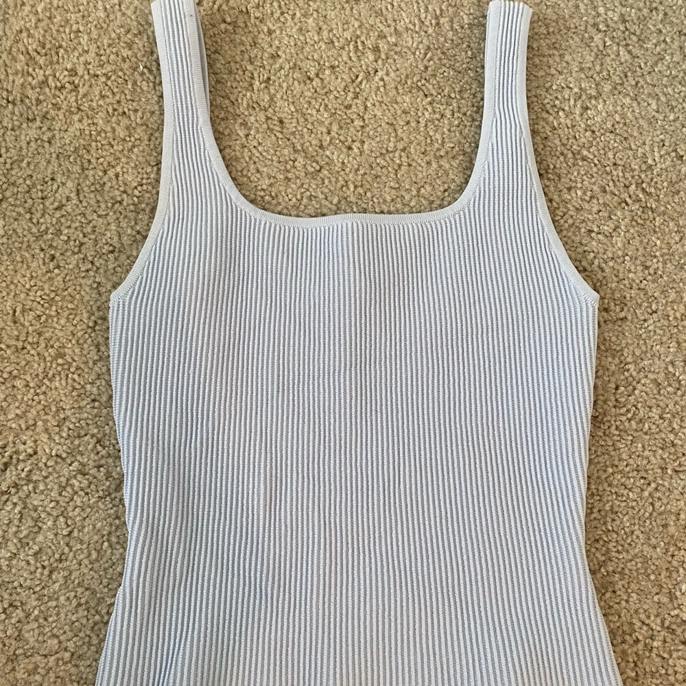 Aritzia Babaton Sculpt knit top full length